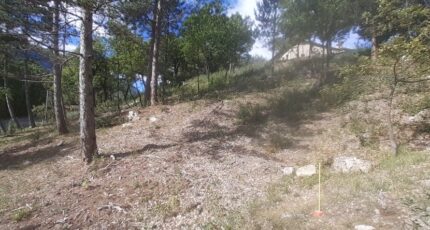 Noyers-sur-Jabron Terrain à bâtir - 1486938-7183annonce120221206OLWaA.jpeg Maisons Open