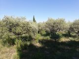 1475702-9911annonce420221118cuLmr.jpeg Maisons Open