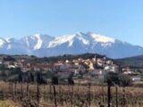  1500788-5472annonce120230102p8GJW.jpeg Maisons Open