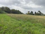  1500881-4866annonce120230102vSyOk.jpeg Maisons Open