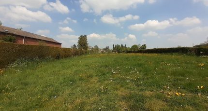 Felleries Terrain à bâtir - 1432287-6187annonce120220923TbUca.jpeg Maisons Open