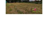  1450280-6187annonce1202210171knDs.jpeg Maisons Open