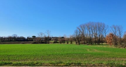 Saint-Félix-Lauragais Terrain à bâtir - 1484606-5993annonce120221201zywFZ.jpeg Maisons Open