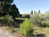 1437257-9911annonce120220929JrVrR.jpeg Maisons Open