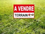  1446077-9331annonce120220603buOvT.jpeg Maisons Open