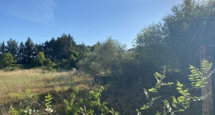 Argelliers Terrain à bâtir - 1477844-609annonce1202211226lwti.jpeg Maisons Open