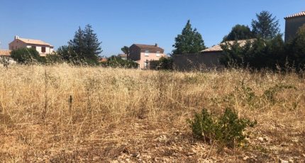 La Crau Terrain à bâtir - 1446659-7034annonce120221011W3ynC.jpeg Maisons Open