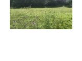  1434289-6187annonce120220926BUKUC.jpeg Maisons Open