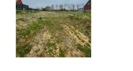 Trélon Terrain à bâtir - 1434415-6187annonce120220926bVMOM.jpeg Maisons Open