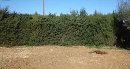 La Crau Terrain à bâtir - 1507994-649annonce220230110yiL2L.jpeg Maisons Open