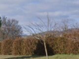  1508634-7060annonce120230110k2qAd.jpeg Maisons Open