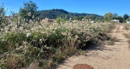 Vidauban Terrain à bâtir - 1510274-3912annonce320230112e8L1t.jpeg Maisons Open