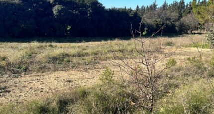 Gréasque Terrain à bâtir - 1513982-9836annonce2202301168ls5t.jpeg Maisons Open
