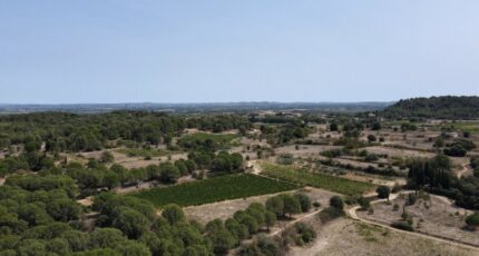 Marcorignan Terrain à bâtir - 1514081-10167annonce120230116VV7B8.jpeg Maisons Open