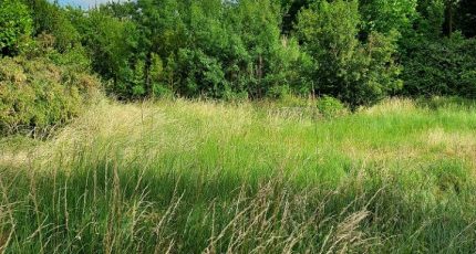 Saint-Félix-Lauragais Terrain à bâtir - 1512900-3014annonce220230113Tli5U.jpeg Maisons Open