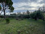  1516039-2970annonce120230117OTmfU.jpeg Maisons Open