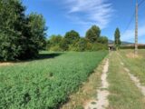  1520563-6150annonce320230120cg67c.jpeg Maisons Open