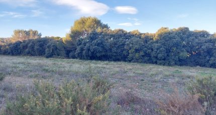 Lançon-Provence Terrain à bâtir - 1522333-7289annonce120230123pmXRR.jpeg Maisons Open