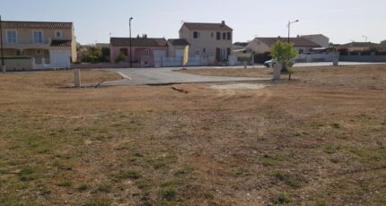 Sallèles-d'Aude Terrain à bâtir - 1522747-10167annonce120230124zRM7D.jpeg Maisons Open