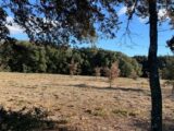  1524872-6150annonce120230125Fnmfm.jpeg Maisons Open