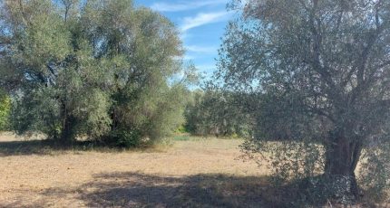 Grasse Terrain à bâtir - 1524164-1837annonce120230125yrcCE.jpeg Maisons Open