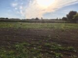  1524757-10344annonce120230125GTuBT.jpeg Maisons Open