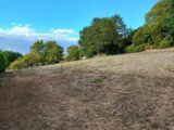  1525746-3014annonce120230126n5euT.jpeg Maisons Open