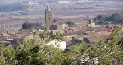 Conilhac-Corbières Terrain à bâtir - 1526612-10167annonce120230127A7xqn.jpeg Maisons Open