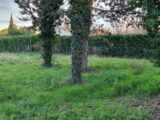  1528558-6929annonce1202301304Btwe.jpeg Maisons Open