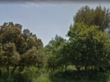  1528719-6929annonce320230130M7ORF.jpeg Maisons Open