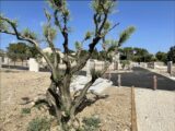  1528811-3418annonce220230130VliAT.jpeg Maisons Open