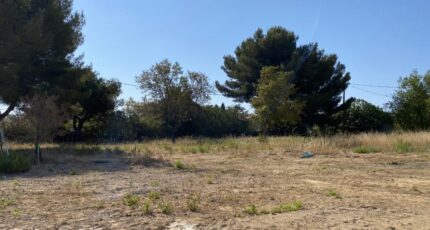Pierrefeu-du-Var Terrain à bâtir - 1528219-4590annonce120230130D296S.jpeg Maisons Open