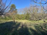  1528756-4590annonce120230130JrUs7.jpeg Maisons Open