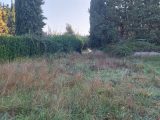  1528530-7289annonce120230130KwESl.jpeg Maisons Open