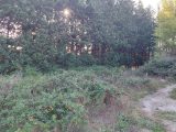  1528530-7289annonce220230130Blk8S.jpeg Maisons Open