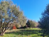  1528389-10316annonce2202301301FeiC.jpeg Maisons Open