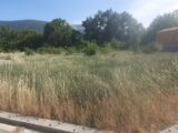  1529052-7183annonce220230131H5IsU.jpeg Maisons Open