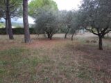  1529082-5826annonce2202301315un9u.jpeg Maisons Open