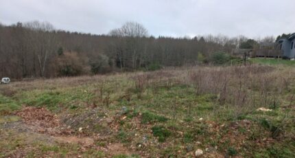 Verneuil-sur-Vienne Terrain à bâtir - 1528430-7027annonce220230130L0yQh.jpeg Maisons Open