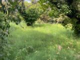  1527680-7054annonce120230129GrLbQ.jpeg Maisons Open