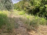  1527680-7054annonce220230129FiicX.jpeg Maisons Open