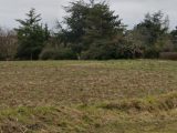  1523753-5202annonce1202301245z5uI.jpeg Maisons Open