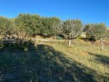  1531898-5622annonce420230202PLNta.jpeg Maisons Open
