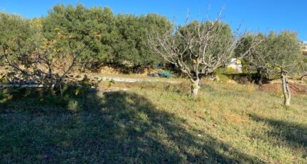 Saint-Cyr-sur-Mer Terrain à bâtir - 1531898-5622annonce420230202PLNta.jpeg Maisons Open