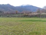  1531599-5472annonce120230202GSPPL.jpeg Maisons Open
