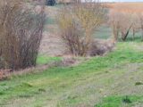  1532298-3014annonce320230202FIddH.jpeg Maisons Open