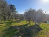  1534434-10316annonce220230204B2CK5.jpeg Maisons Open