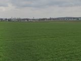  1533535-1215annonce120230203SelWT.jpeg Maisons Open