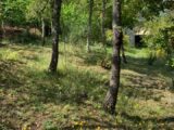  1536784-4002annonce420220908RyzOO.jpeg Maisons Open