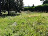  1502870-5604annonce320230104JrADQ.jpeg Maisons Open